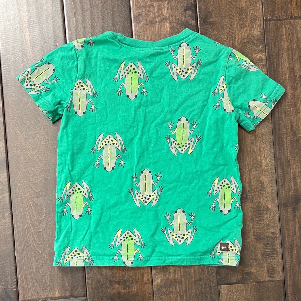TEA COLLECTION Size 6 Boy Bundle Gray Crewneck, long sleeves, T shirt Dinosaurs - Picture 11 of 11
